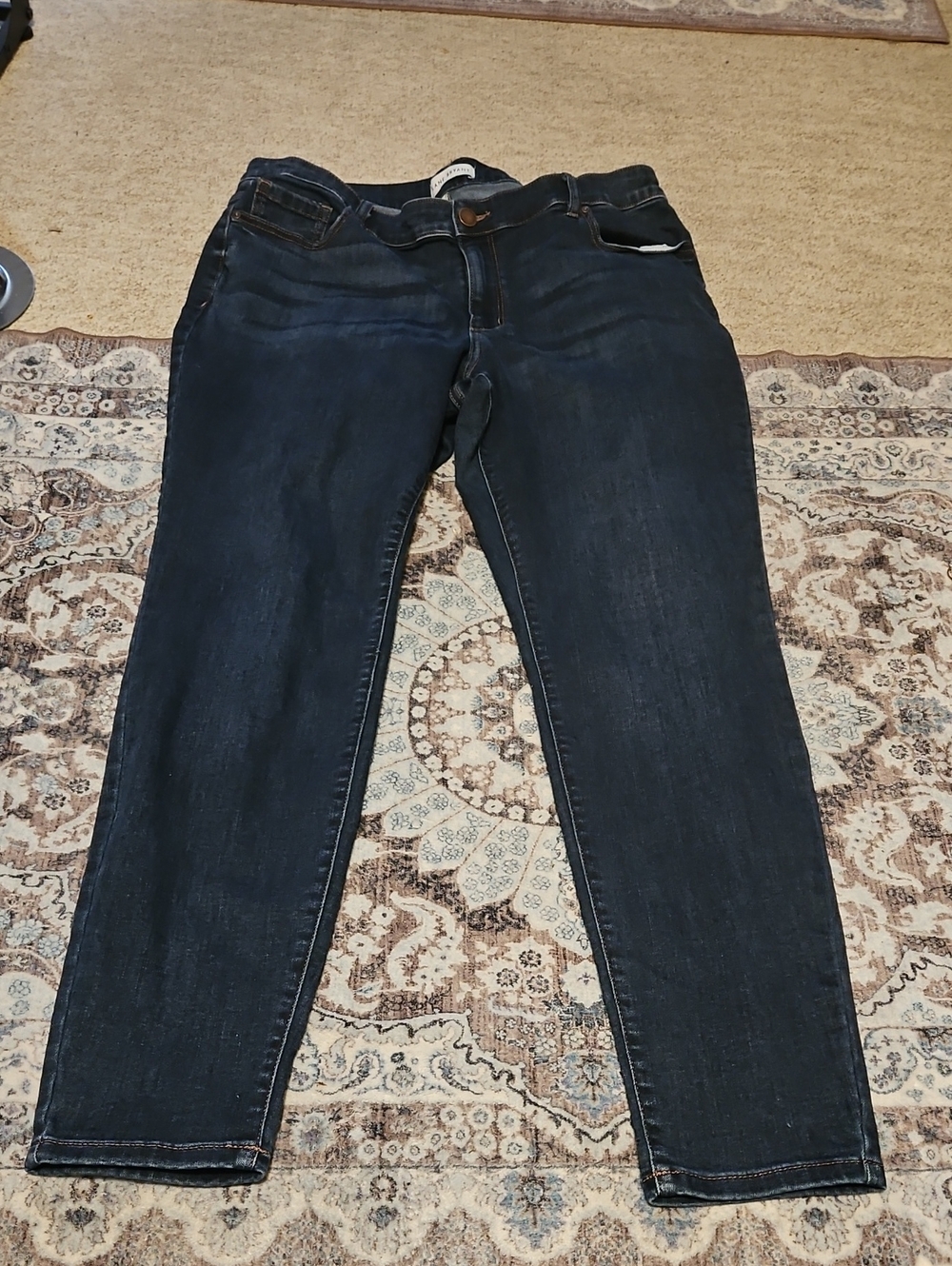 Lane Bryant Indigo Stretch Skinny Jeans